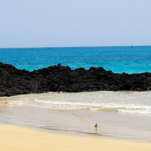 Santa Cruz 5 Tage Deluxe