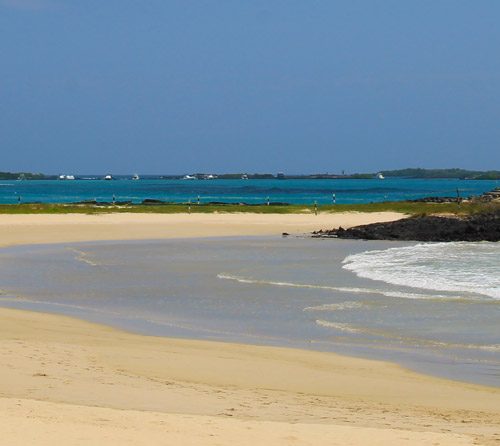 Galapagos Autentico Deluxe