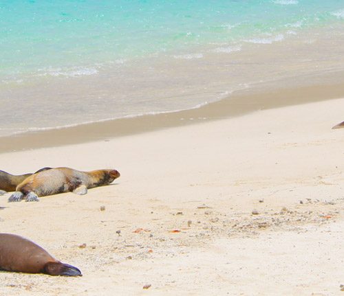San Cristobal 5 Tage Deluxe