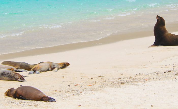 San Cristobal 5 Tage Deluxe