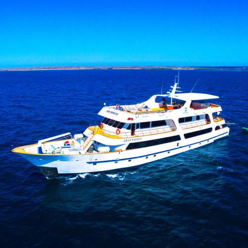 yacht-odyssey-galapagos