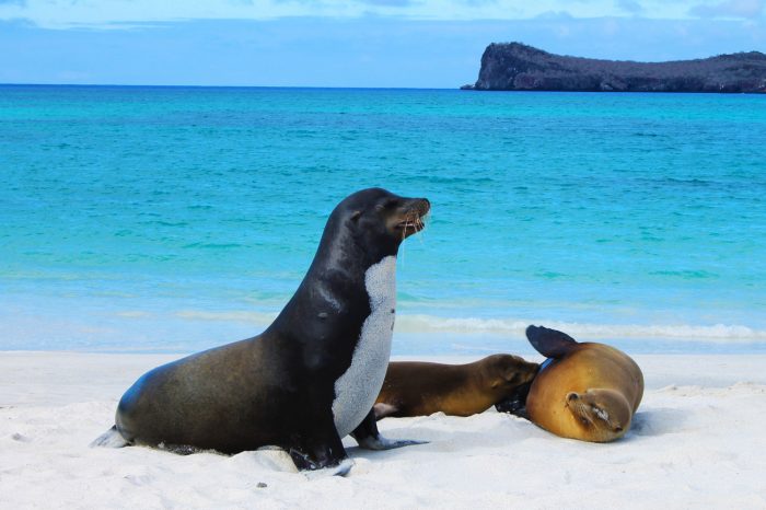 Inselhopping-Comfort