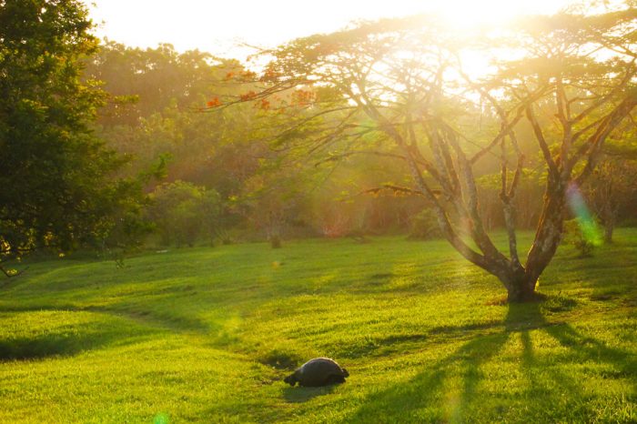 Isabela-Santa Cruz 5 Tage Deluxe