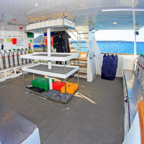 Tauchplattform der Galapagos-Yacht Aqua